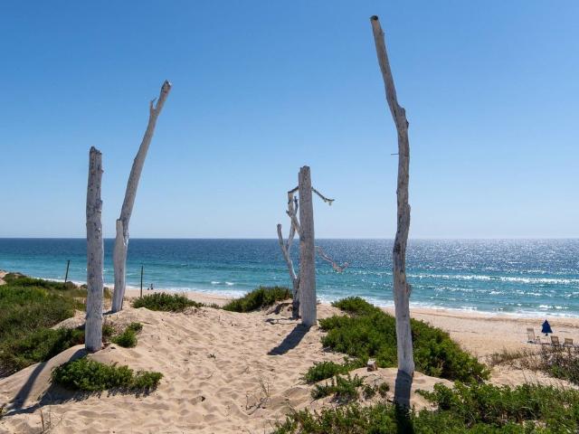 Terreno venda em Comporta Terreno venda em Comporta