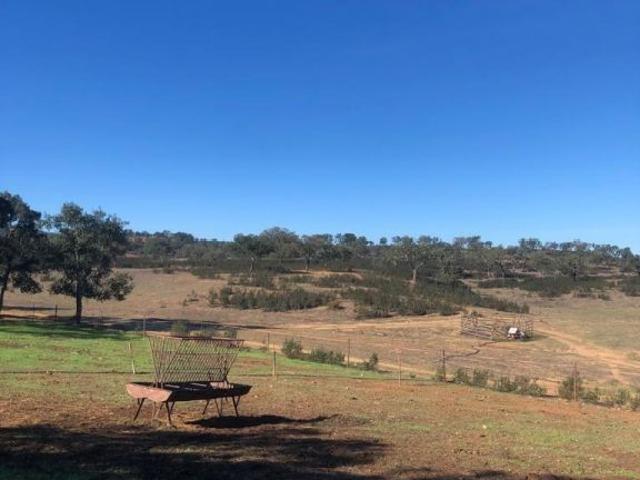 Terreno venda em Cercal, Santiago Do Cacém