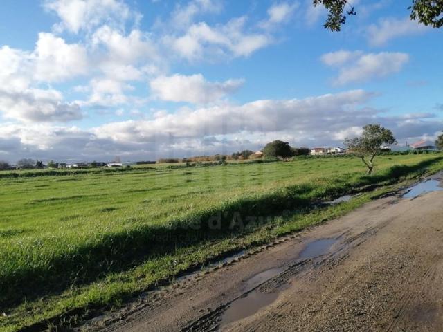 Terreno venda em Jardia, Montijo