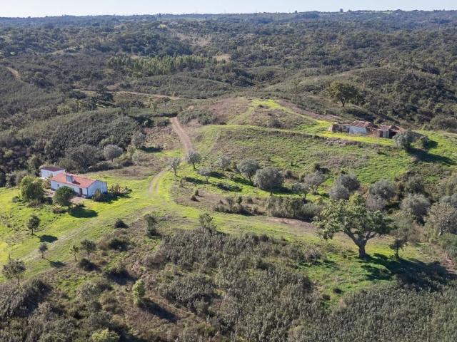 Terreno venda em Santiago Do Cacém, Setúbal