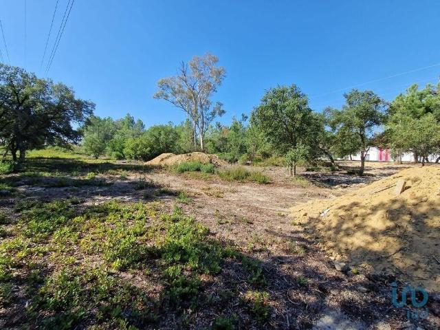 Terreno venda em Fernão Ferro, Setúbal