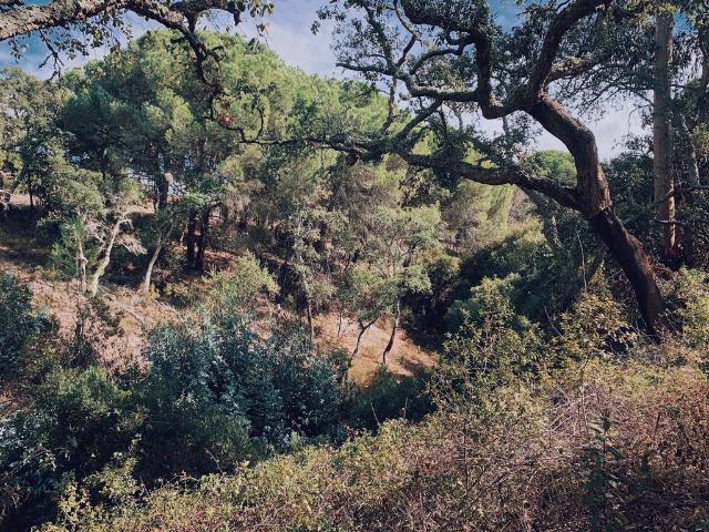 Terreno venda em Melides
