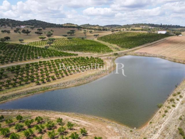 Terreno venda em Aldeia das Pias, Santiago Maior