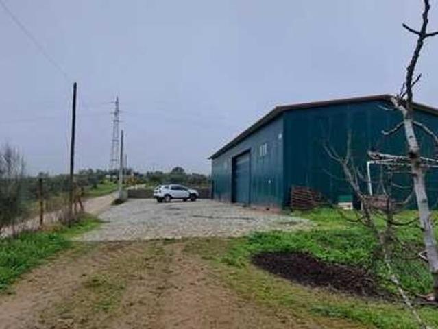 Terreno venda em Vila Flor, Bragança