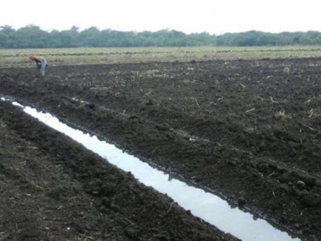 Terreno en venta en San Andrés Tuxtla, Veracruz