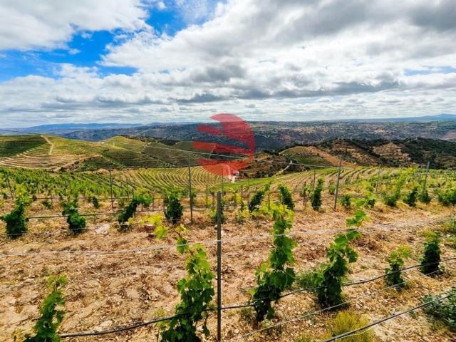 Terreno venda em Guarda, Longroiva