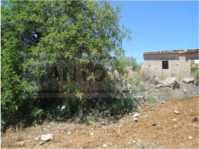 Terreno venda em Albufeira e Olhos de Água, Albufeira