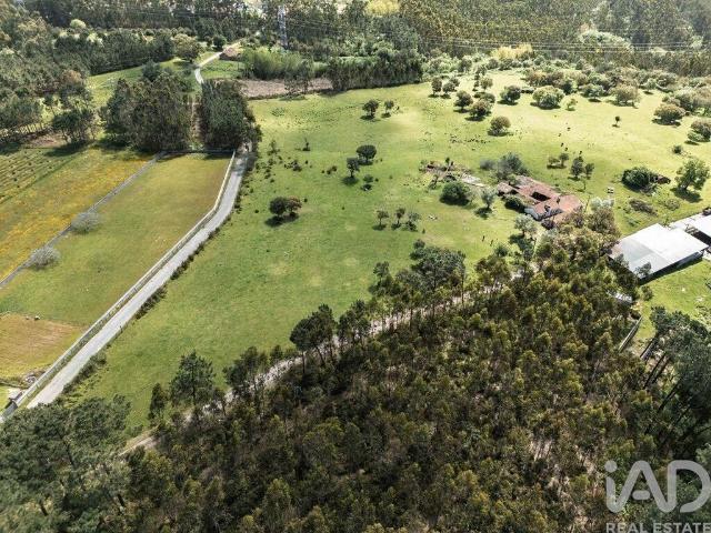 Terreno venda em Leiria