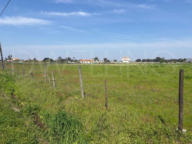 Terreno venda em Benavente, Santarém