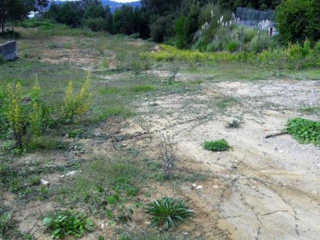 Terreno venda em Oliveira De Azeméis, Aveiro