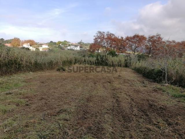 Terreno venda em Sintra, Lisboa