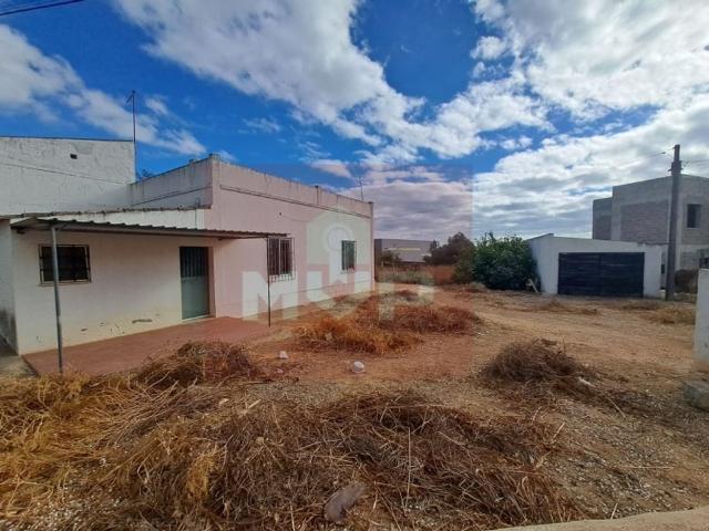 Terreno venda em Loulé, Faro