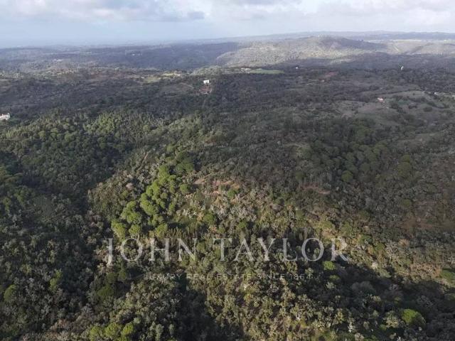 Terreno venda em Santiago Do Cacém, Setúbal