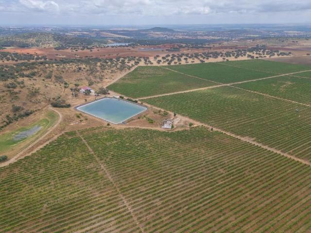 Terreno venda em Vila Viçosa, Évora