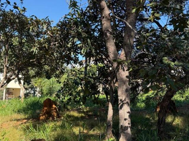 Terreno venda em Região Geográfica Imediata de Belo Horizonte, Região Metropolitana de Belo Horizonte