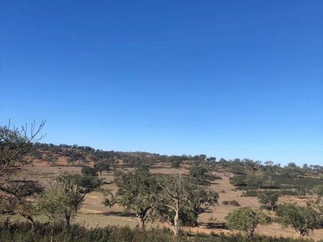 Terreno venda em Cercal, Santiago Do Cacém