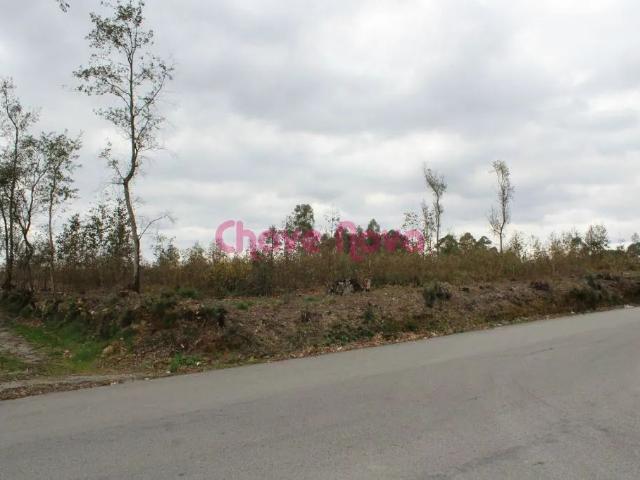 Terreno venda em Santa Maria Da Feira, Aveiro