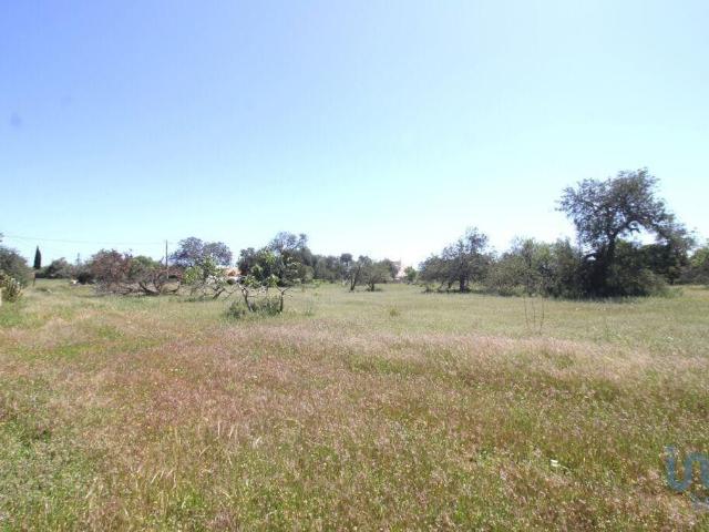 Terreno venda em Albufeira, Faro