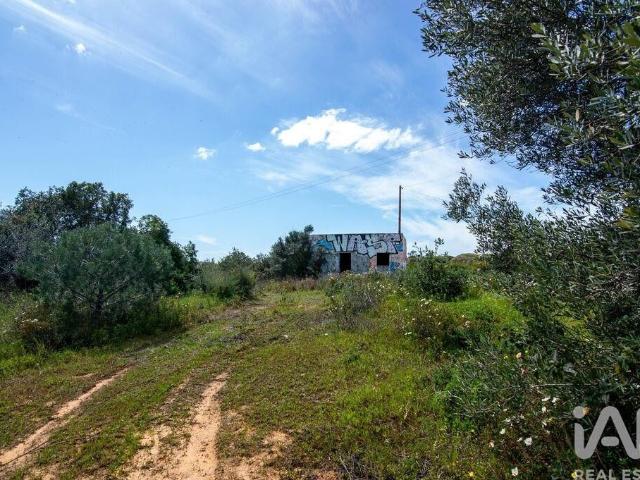 Terreno venda em Loulé, Faro
