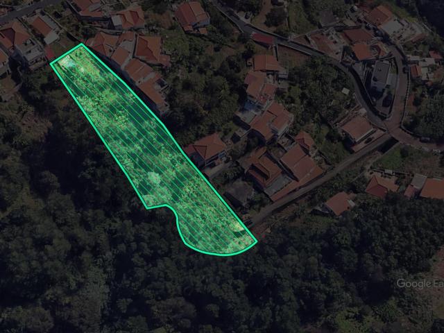 Terreno venda em Funchal, Ilha Da Madeira