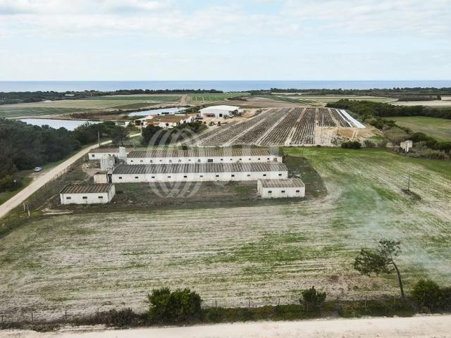 Terreno venda em Aljezur, Faro