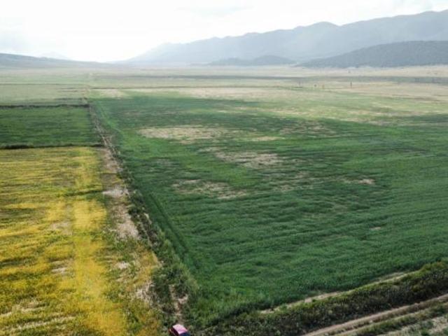 Terreno en venta en Santa Anita del Peñasco, San José de la Martha