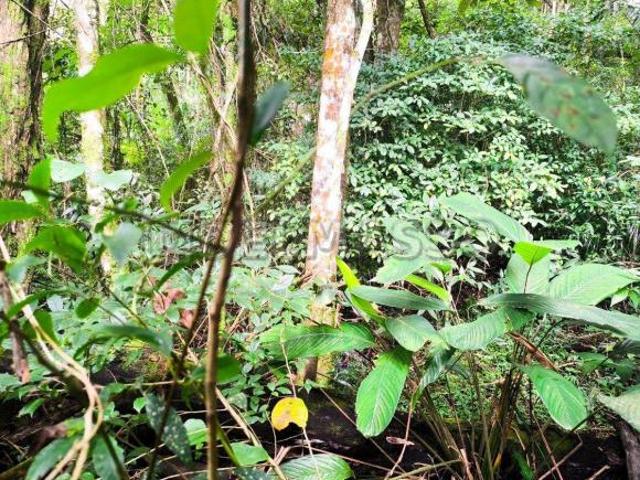 Terreno venda em Região Imediata de Sorocaba, Região Metropolitana de Sorocaba