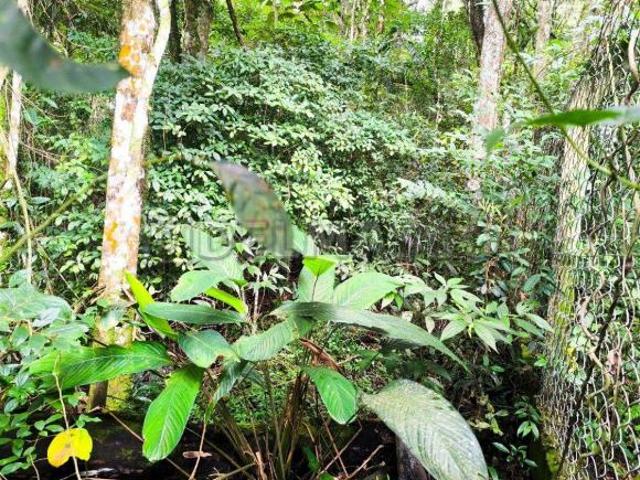 Terreno venda em Região Imediata de Sorocaba, Região Metropolitana de Sorocaba