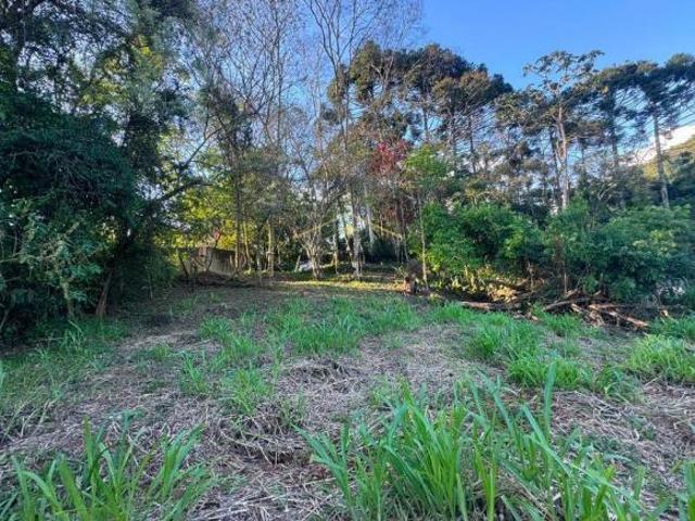 Terreno venda em Santo Antônio do Pinhal