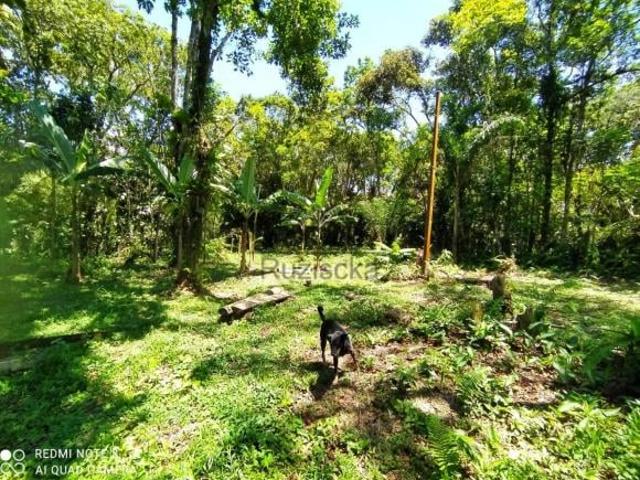 Terreno venda em Região Imediata de Santos, Região Metropolitana da Baixada Santista
