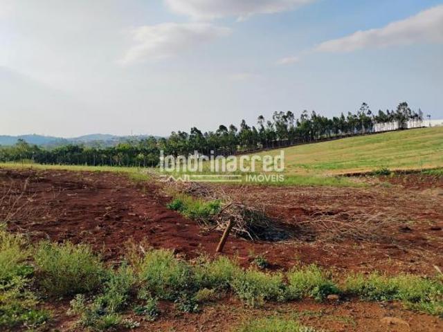 Terreno venda em Região Geográfica Imediata de Londrina, Jataizinho