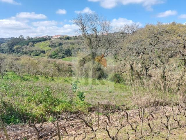 Terreno venda em Caldas Da Rainha, Leiria