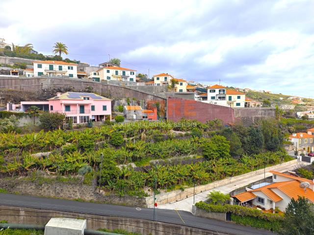 Terreno venda em Ilha Da Madeira