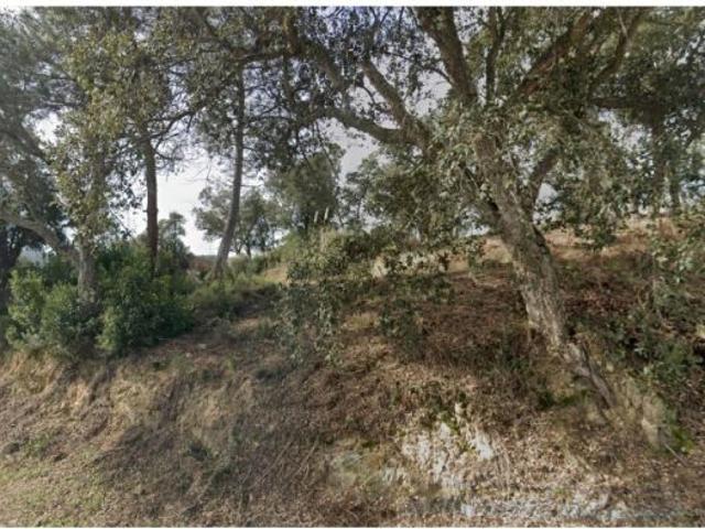 Local Comercial en venta en la Selva, Catalunya