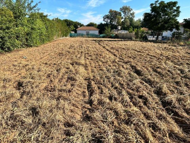 Terreno en venta en Almodóvar Del Río, Andalucía