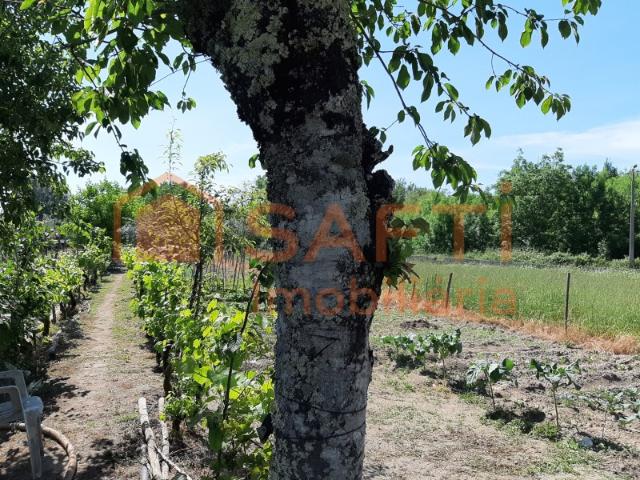 Terreno venda em Canas de Senhorim, Nelas