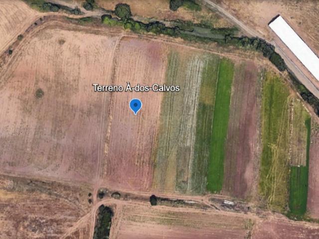 Terreno venda em A-dos-Calvos, Santiago Dos Velhos