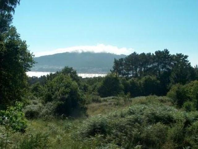 Terreno venda em Arga De Baixo, Viana Do Castelo