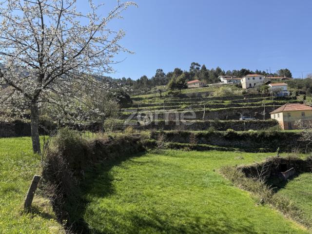 Terreno venda em Cinfães, Viseu