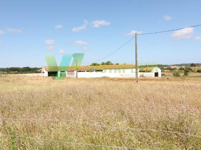 Terreno venda em Lagos, Faro
