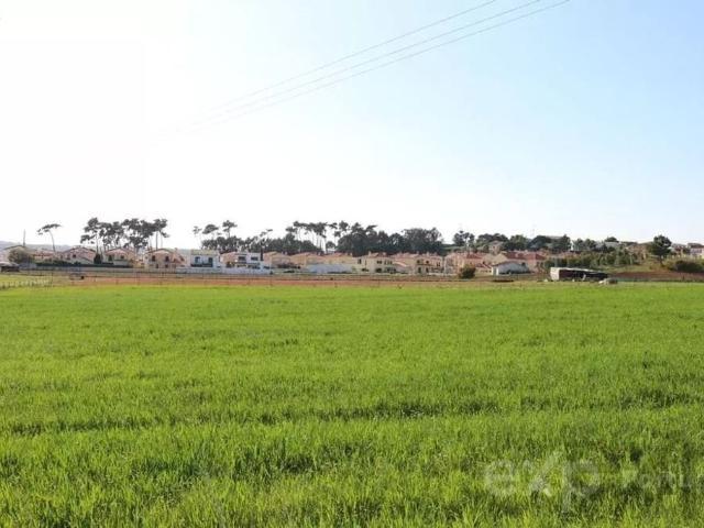 Terreno venda em Torres Vedras, Lisboa