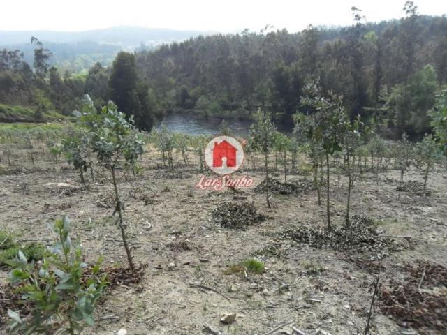 Terreno venda em Vila Do Conde, Porto