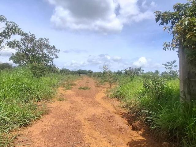 Terreno venda em Região Geográfica Imediata do Distrito Federal, Região Integrada de Desenvolvimento do Distrito Federal e Entorno