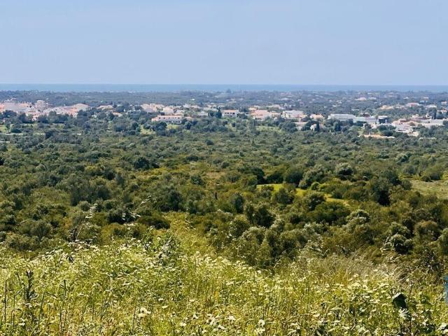 Terreno venda em Faro
