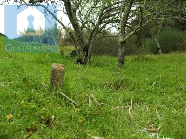 Terreno venda em Albufeira e Olhos de Água, Albufeira