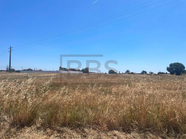Terreno venda em Salvaterra De Magos, Santarém