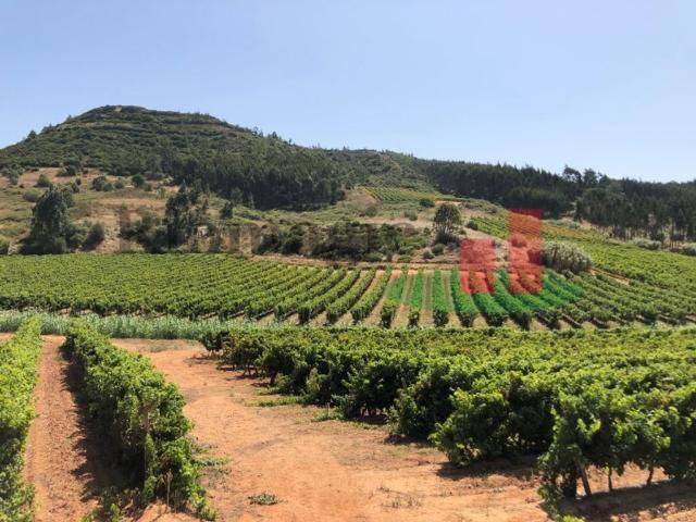 Terreno venda em Azambuja, Lisboa