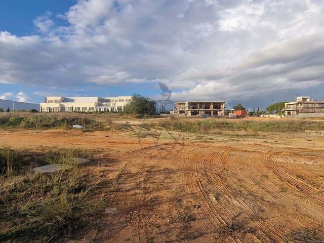 Terreno venda em Pêra