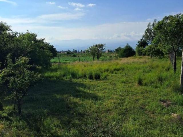 Terreno en venta en Yecapixtla