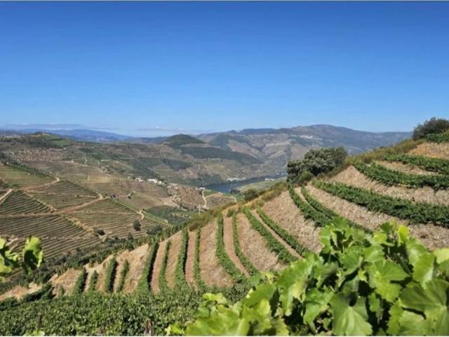 Terreno venda em Nagoselo Do Douro, Viseu